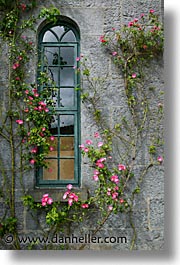 images/Europe/Ireland/Shannon/LoughDerg/window-1.jpg
