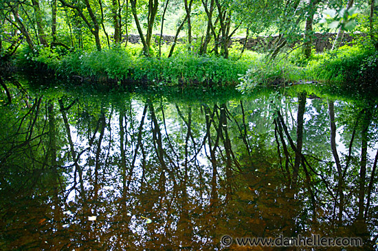 lush-reflections.jpg