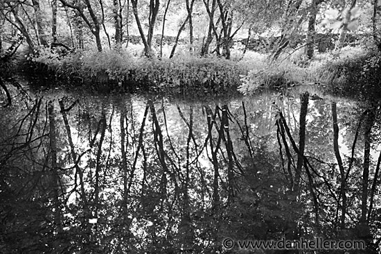 reflection-bw.jpg