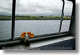 images/Europe/Ireland/ShannonPrincessII/Rooms/window-flower-3.jpg