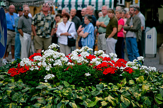 people-n-flowers.jpg