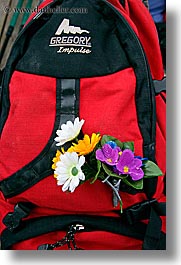 images/Europe/Italy/Dolomites/Flowers/backpack-flowers.jpg