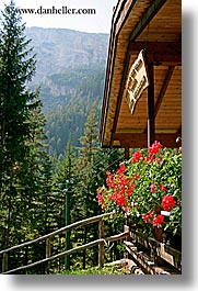 images/Europe/Italy/Dolomites/Flowers/balcony-geraniums.jpg