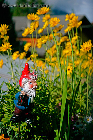 garden-gnome-1.jpg