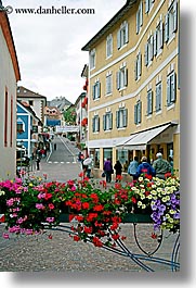 images/Europe/Italy/Dolomites/Flowers/st-ulrich-flowers-1.jpg