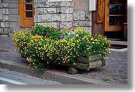 images/Europe/Italy/Dolomites/Flowers/street-flowers.jpg
