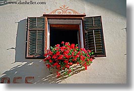 images/Europe/Italy/Dolomites/Flowers/window-flowers-04.jpg