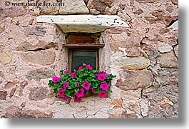 images/Europe/Italy/Dolomites/Flowers/window-flowers-05.jpg