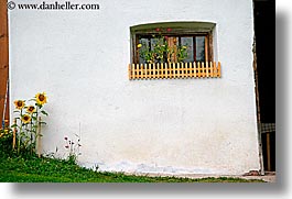images/Europe/Italy/Dolomites/Flowers/window-flowers-07.jpg