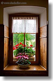 images/Europe/Italy/Dolomites/Flowers/window-flowers-09.jpg