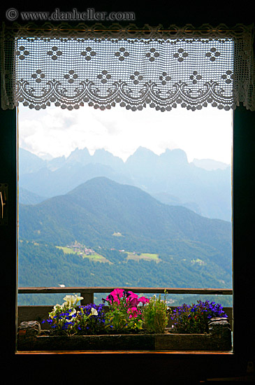 window-flowers-10.jpg