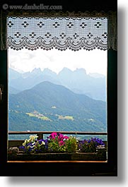 images/Europe/Italy/Dolomites/Flowers/window-flowers-10.jpg