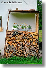 images/Europe/Italy/Dolomites/Flowers/wood-n-flowers-1.jpg