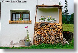 images/Europe/Italy/Dolomites/Flowers/wood-n-flowers-2.jpg
