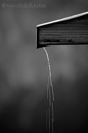 rain-spout-drip-1-bw.jpg