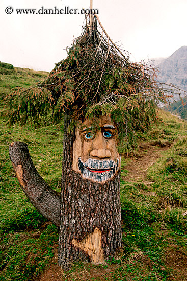 tree-man-1.jpg