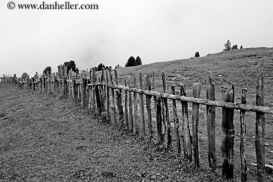 old-wood-fence-bw.jpg