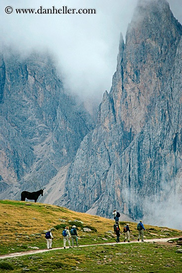 rasciesa-horses-in-fog-01.jpg