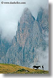 images/Europe/Italy/Dolomites/RasciesaMassif/rasciesa-horses-in-fog-02.jpg