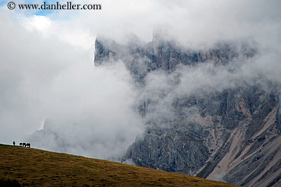 rasciesa-horses-in-fog-05.jpg