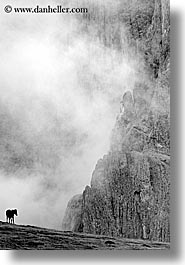 images/Europe/Italy/Dolomites/RasciesaMassif/rasciesa-horses-in-fog-08.jpg