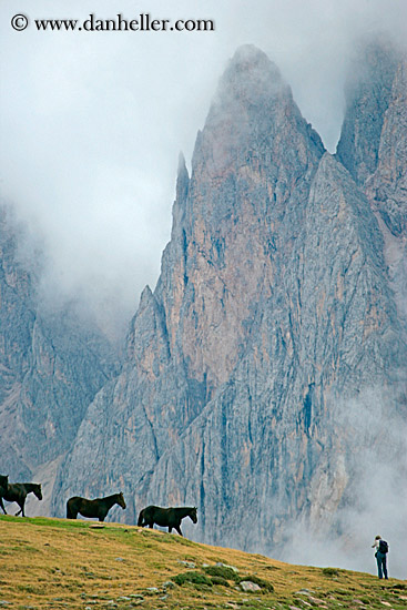 rasciesa-horses-in-fog-12.jpg