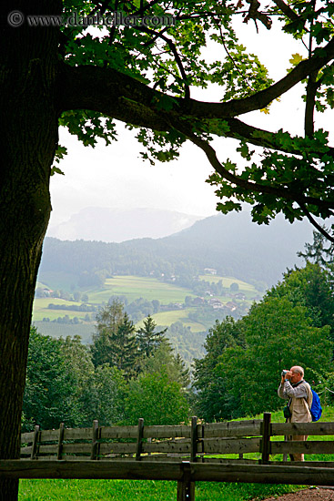 hiker-tree-fence-1.jpg