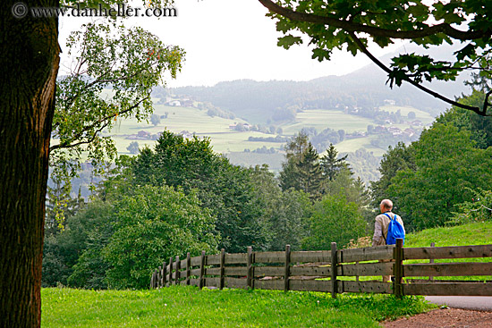 hiker-tree-fence-2.jpg