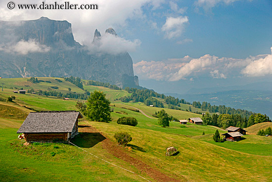 rosengarten-houses-03.jpg