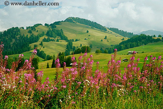 rosengarten-valley-12.jpg