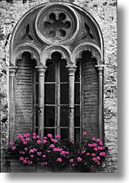 images/Europe/Italy/Po-Valley/DoorsWins/window-flowers-bwc.jpg