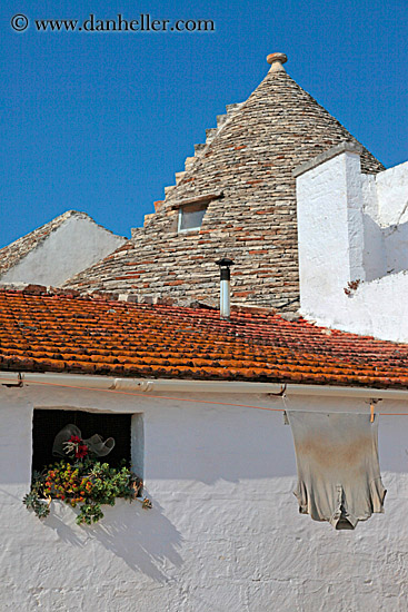 flowers-hanging-shirt-trulli.jpg