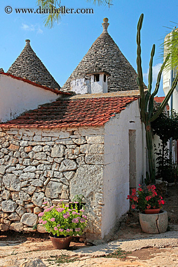 flowers-n-trulli-1.jpg