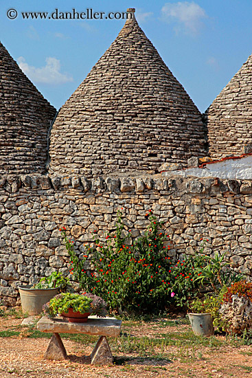 flowers-n-trulli-2.jpg