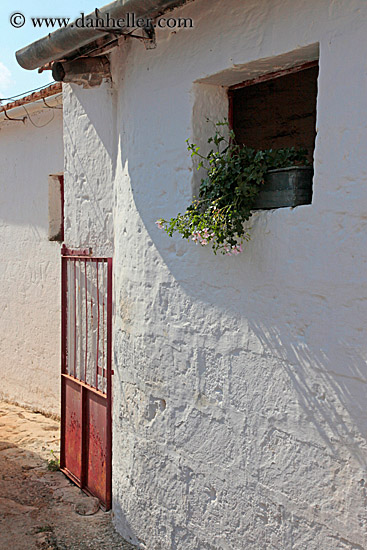 flowers-white-wash-wall-n-red-gate.jpg