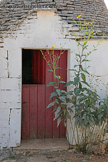 flowers-n-door-5.jpg