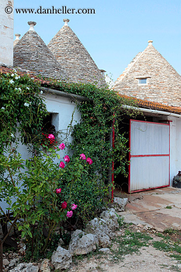 flowers-n-trulli-1.jpg