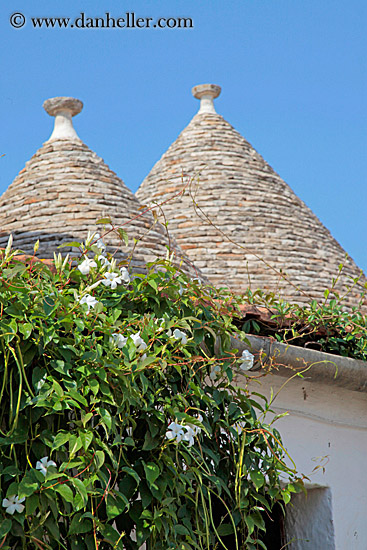 flowers-n-trulli-2.jpg