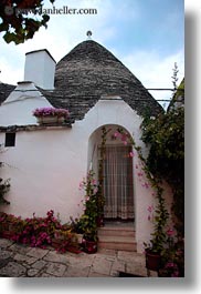 images/Europe/Italy/Puglia/Alberobello/Buildings/Trulli/trullis-w-flowers-1.jpg