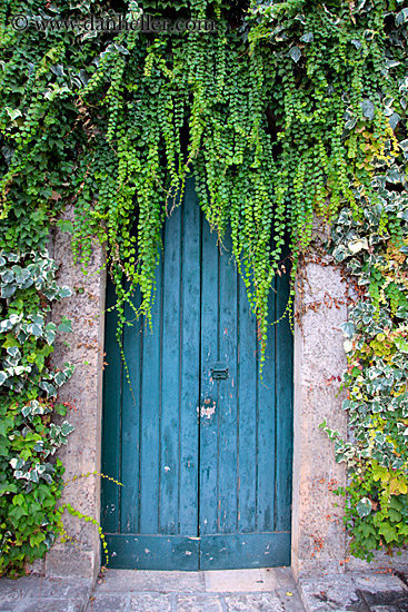 blue-door-w-long-ivy.jpg