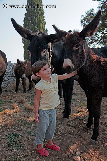 child-petting-donkey-3.jpg