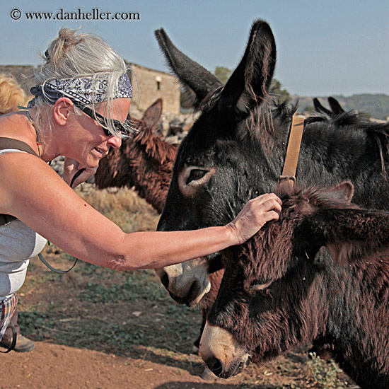 evie-n-donkey-2.jpg