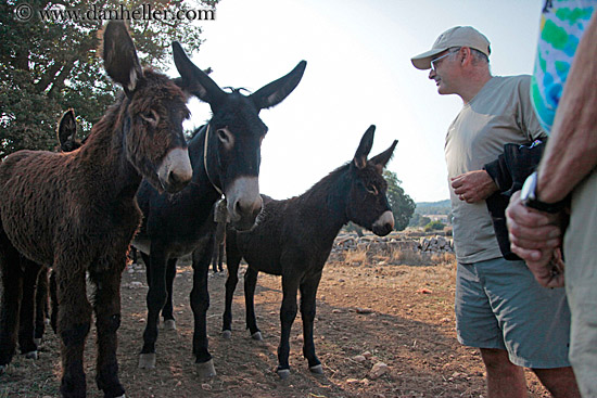 people-w-donkeys-1.jpg