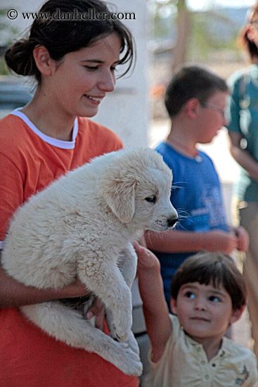 child-petting-white-puppy.jpg