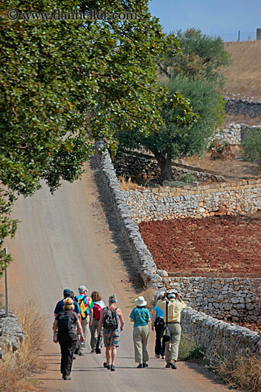 hikers-walking-down-road-2.jpg