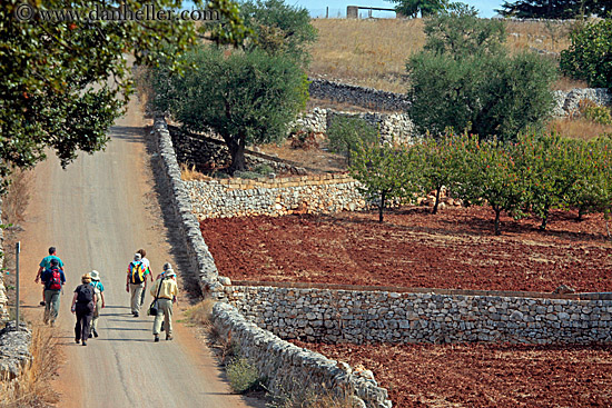 hikers-walking-down-road-3.jpg