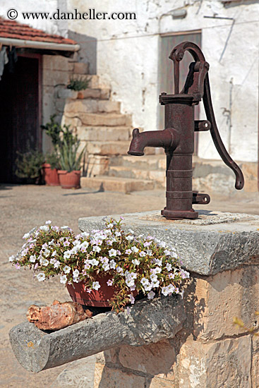 water-pump-n-flowers.jpg