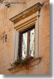 images/Europe/Italy/Puglia/Lecce/DoorsWindows/window-w-geraniums.jpg