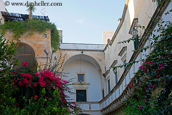 bougainvillea-n-arched-balcony.jpg