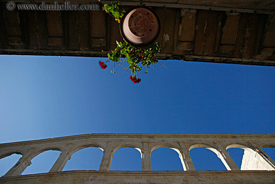 upview-to-flower-pot.jpg